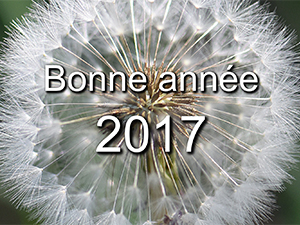 Vignette voeux 2017.jpg